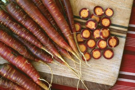 Garden Crops to Dig Image